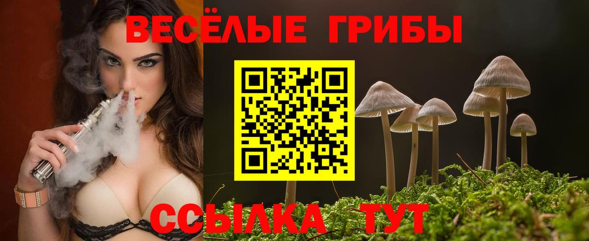 даркнет сайт  Вход с VPN  Новокуйбышевск  Галлюциногенные грибы GOLDEN TEACHER 