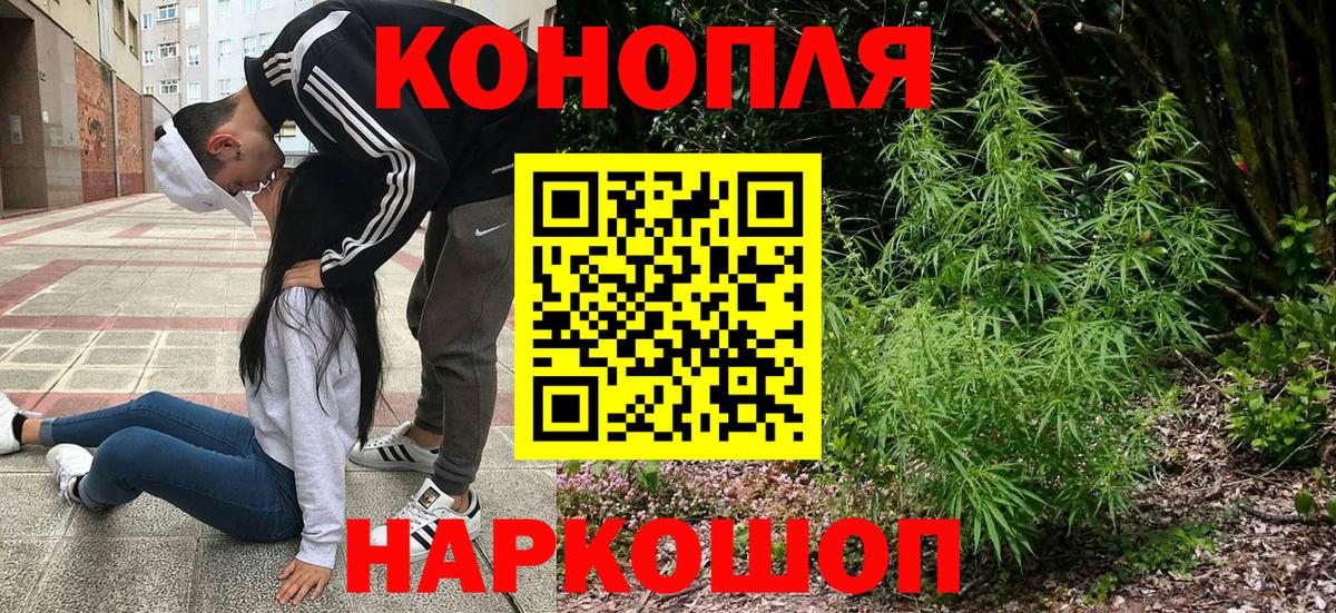 Бошки марихуана ГИДРОПОН  Каннабис сатива  Новокуйбышевск  Каннабис AK-47  Шишки марихуана план  Вход с VPN 